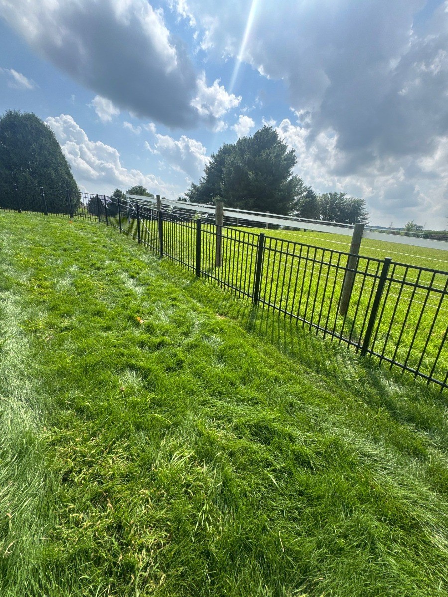 Metal Fence photo 5 — The Vinyl Outlet