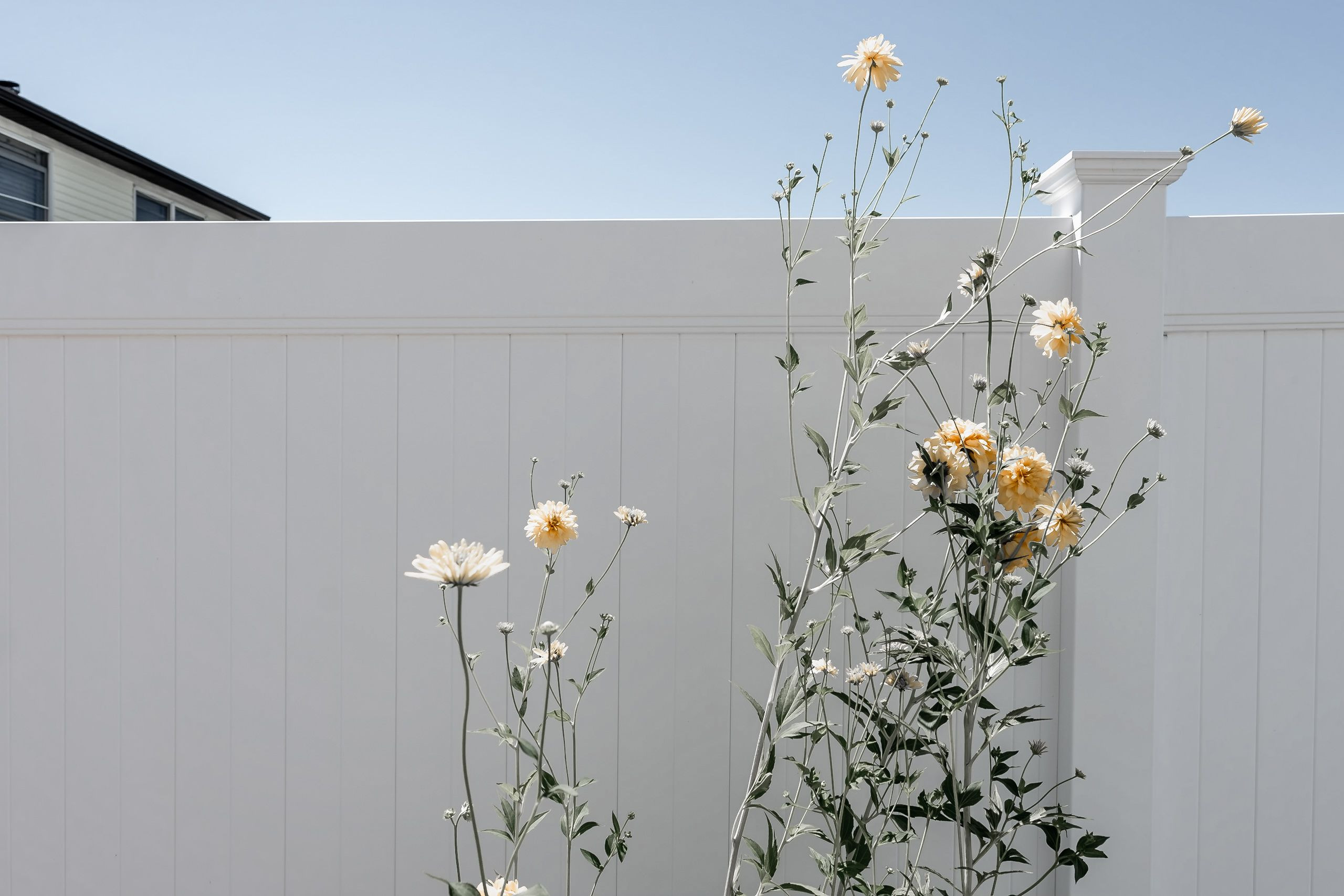 Privacy Fence photo 2 — The Vinyl Outlet