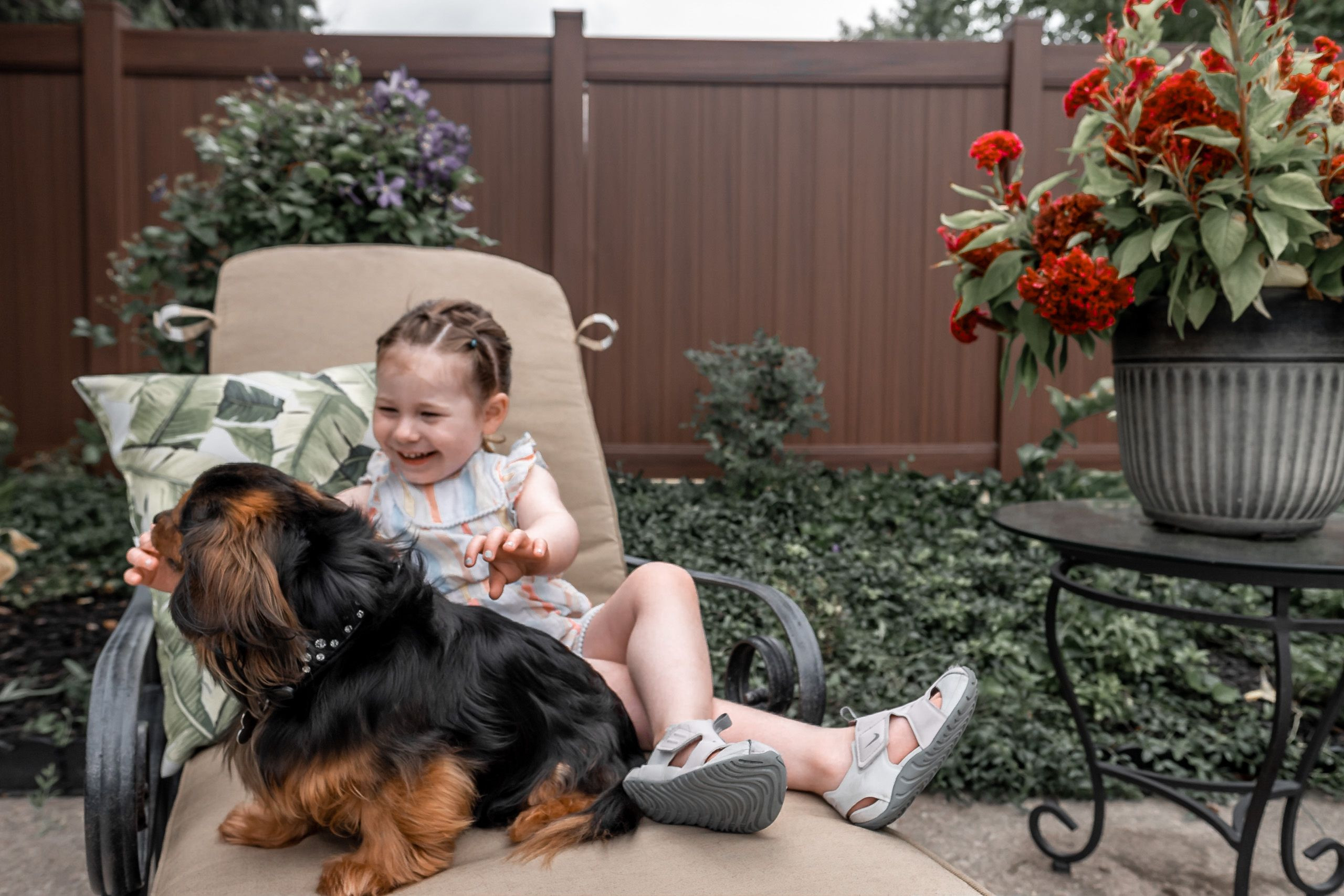 Privacy Fencing gallery