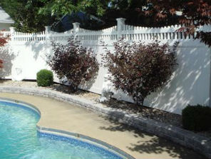 East Aurora Pool Fencing