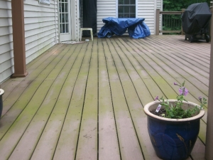 Capped Composite with Mold and Mildew