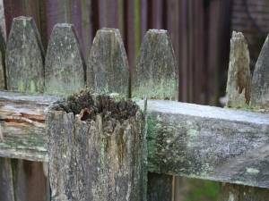 Damaged Wood Fence in Buffalo NY
