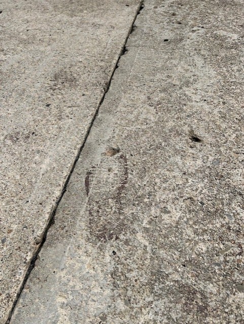 Apollo Concrete Coatings installation photo