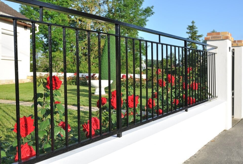 Black aluminum fencing and gate atop a low white concrete wall beside a rose garden.