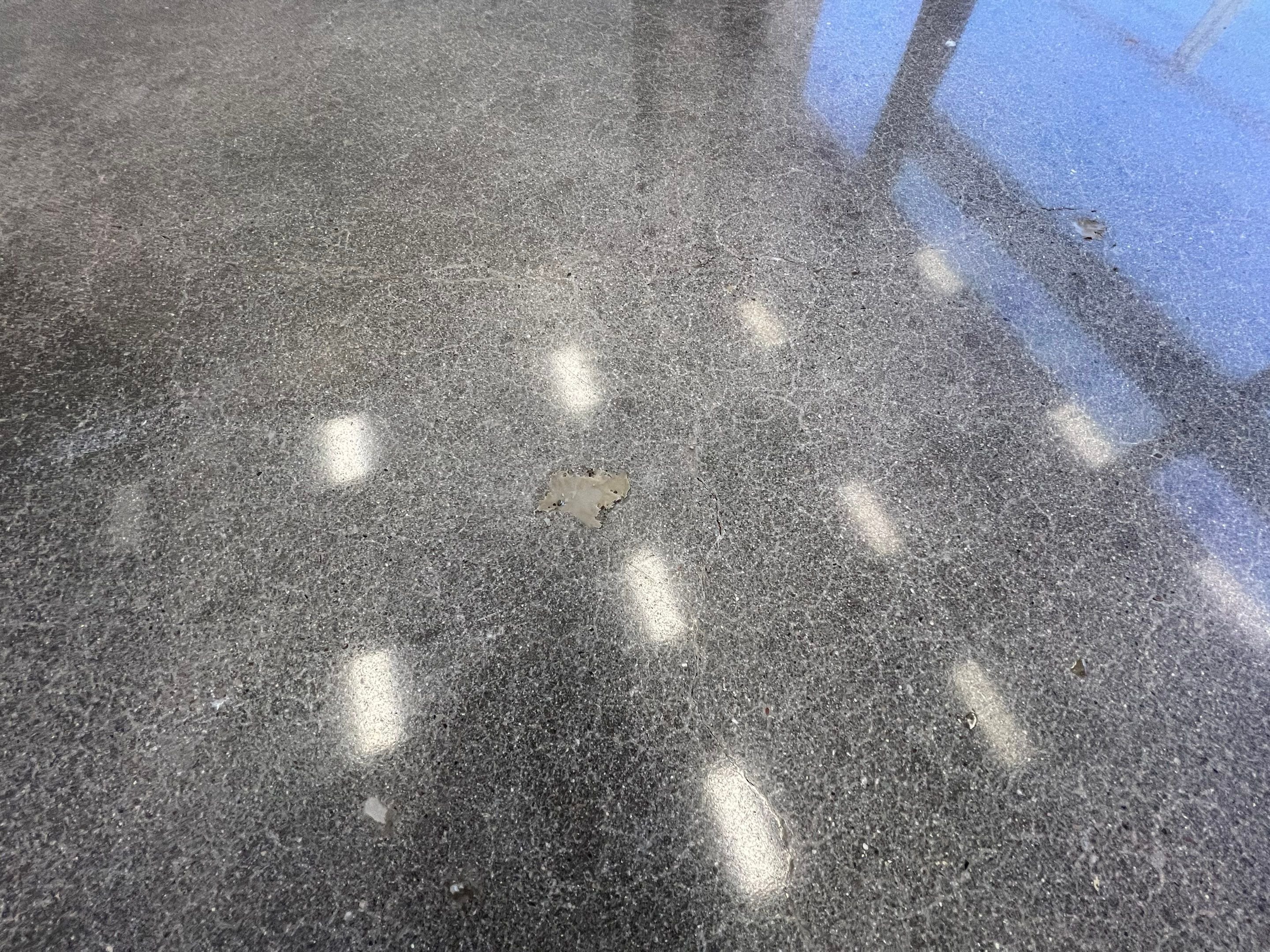 Polished concrete floor by Cardinal Concrete Coatings
