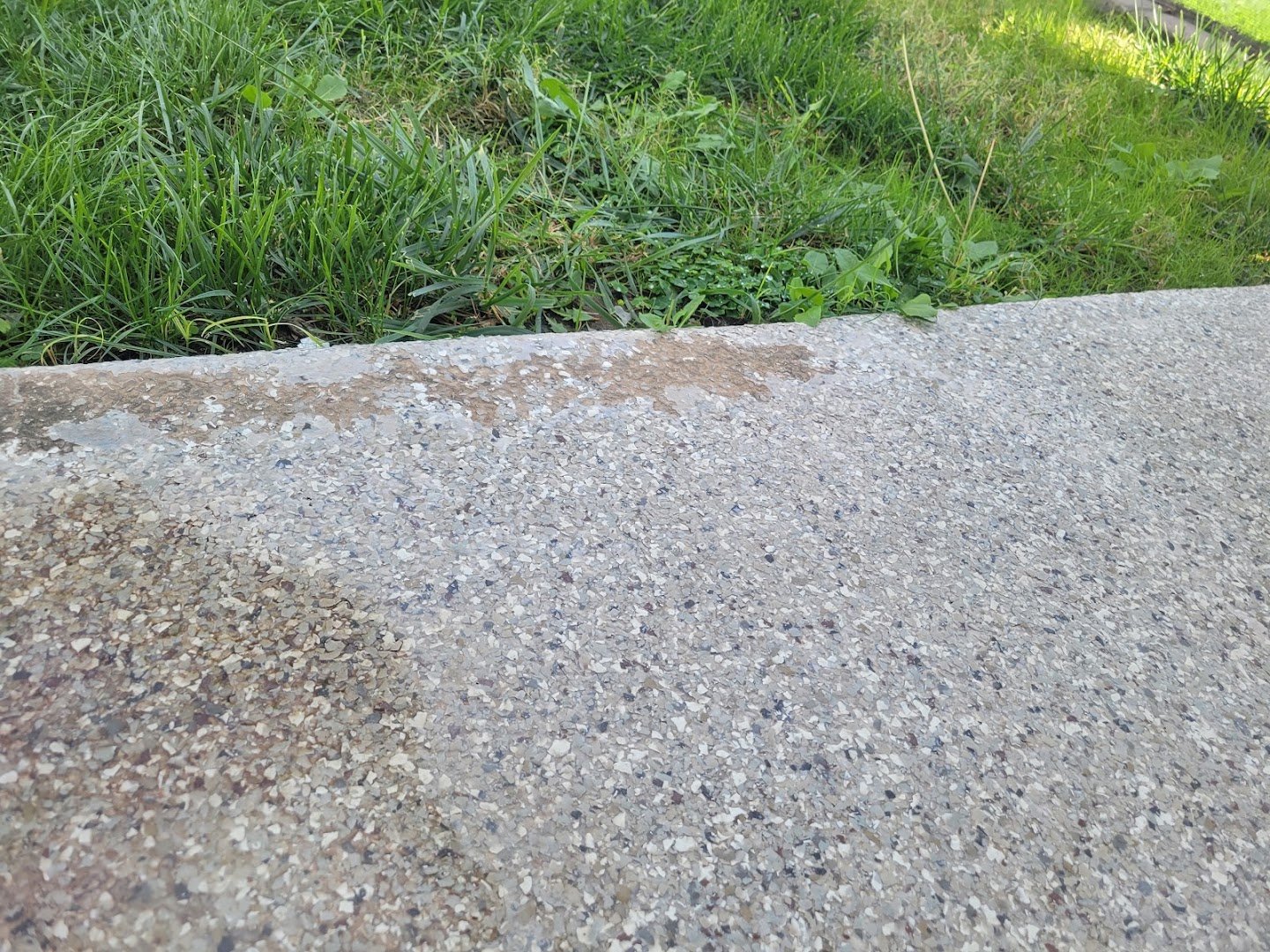 Cardinal Concrete Coatings installation photo