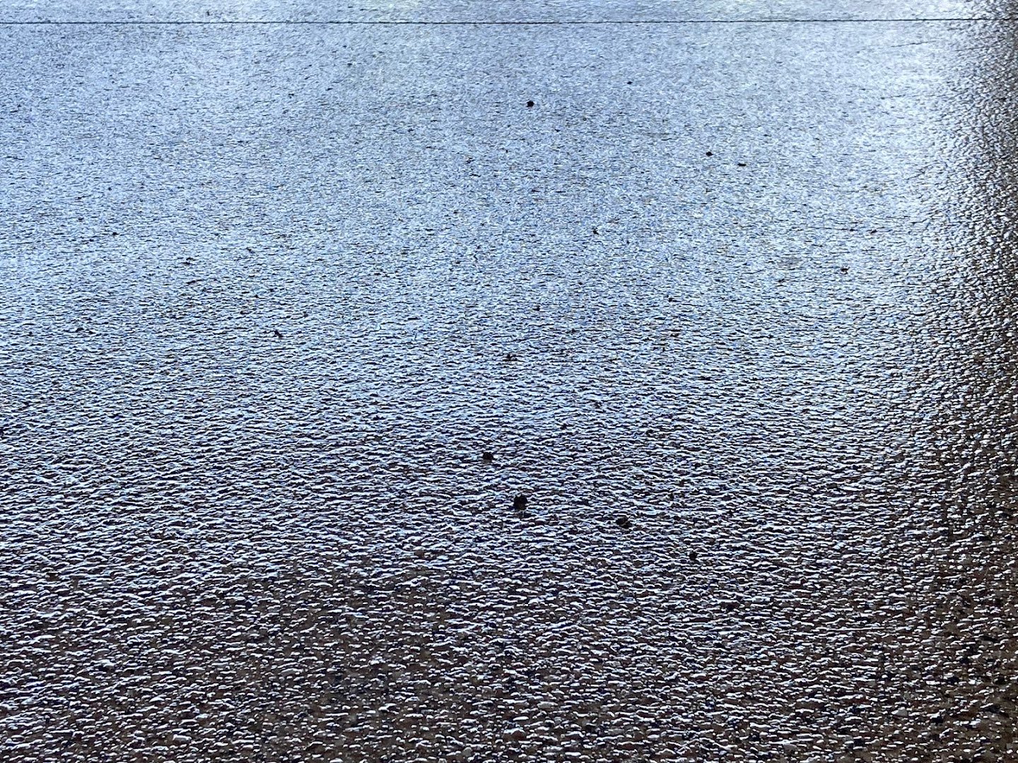 Legacy Concrete Coatings installation photo