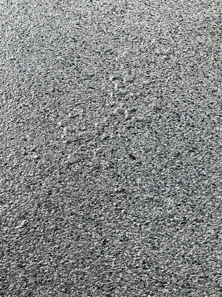 Next Level Concrete Coatings installation photo
