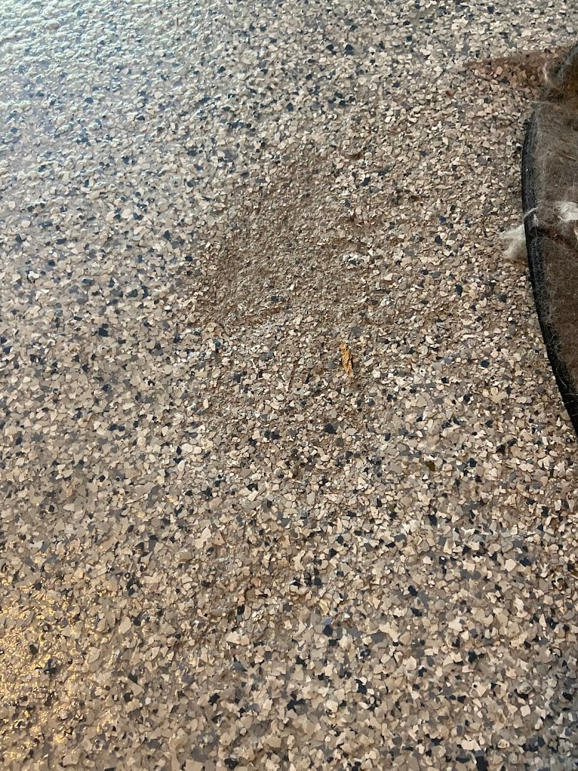 Next Level Concrete Coatings installation photo