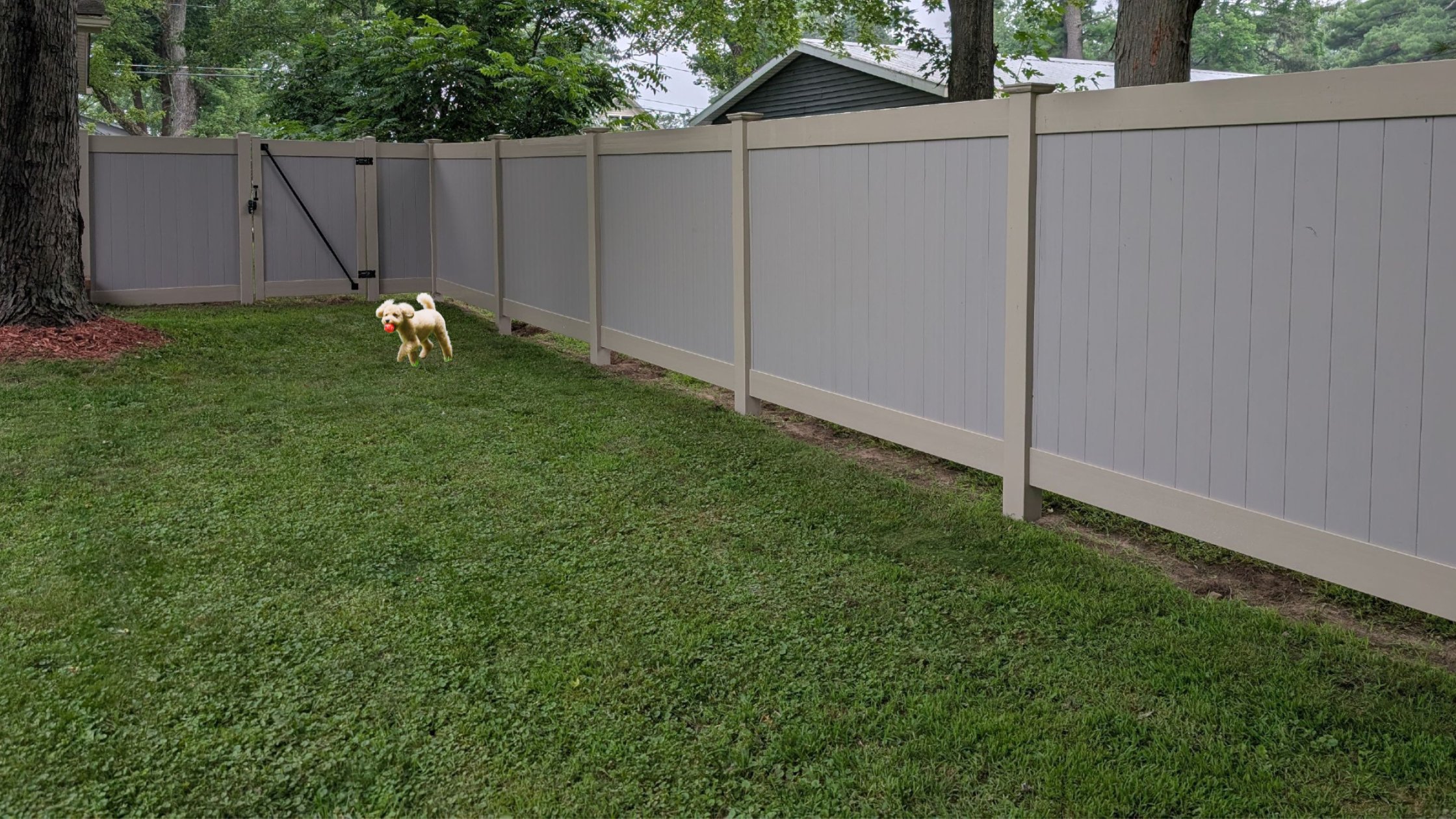 Best Fencing Options for Pet Owners