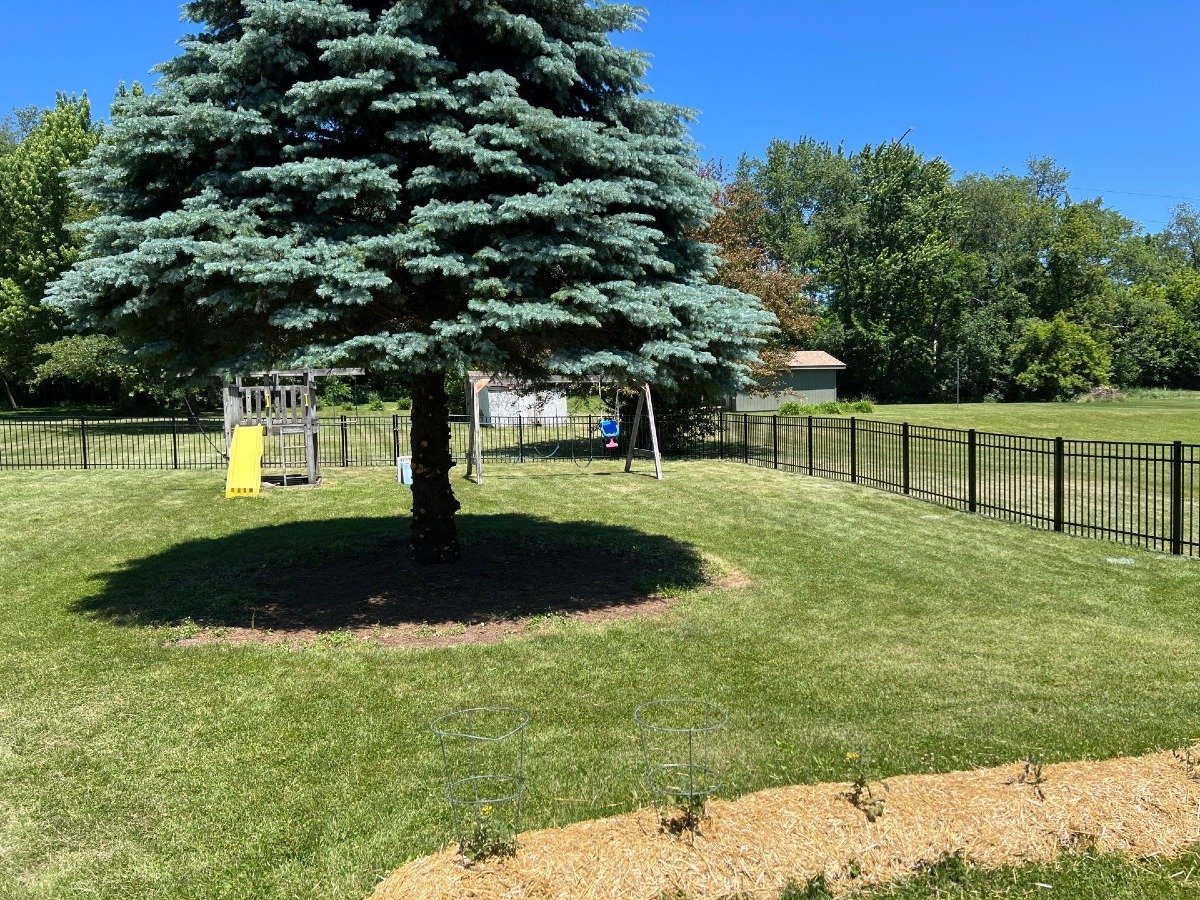 Wrought Iron vs. Aluminum Fencing: Which Is Right for You?