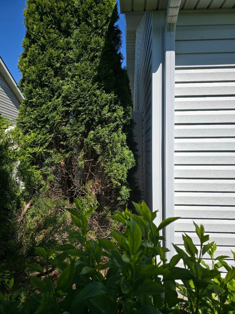 Revamp Fence & Deck installation photo