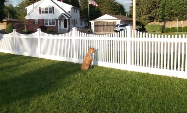 Picket Fencing 6