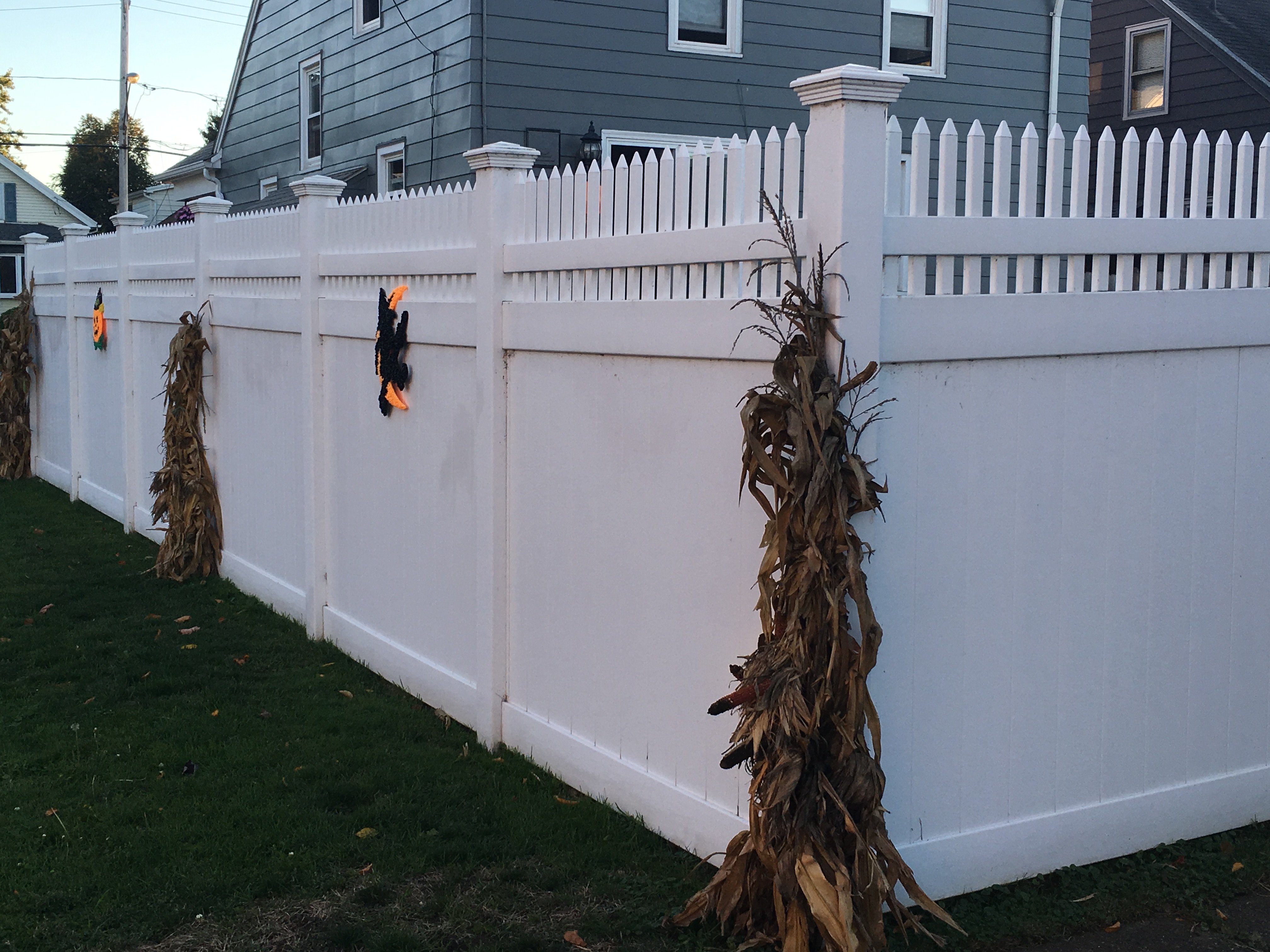 Privacy Fencing 4